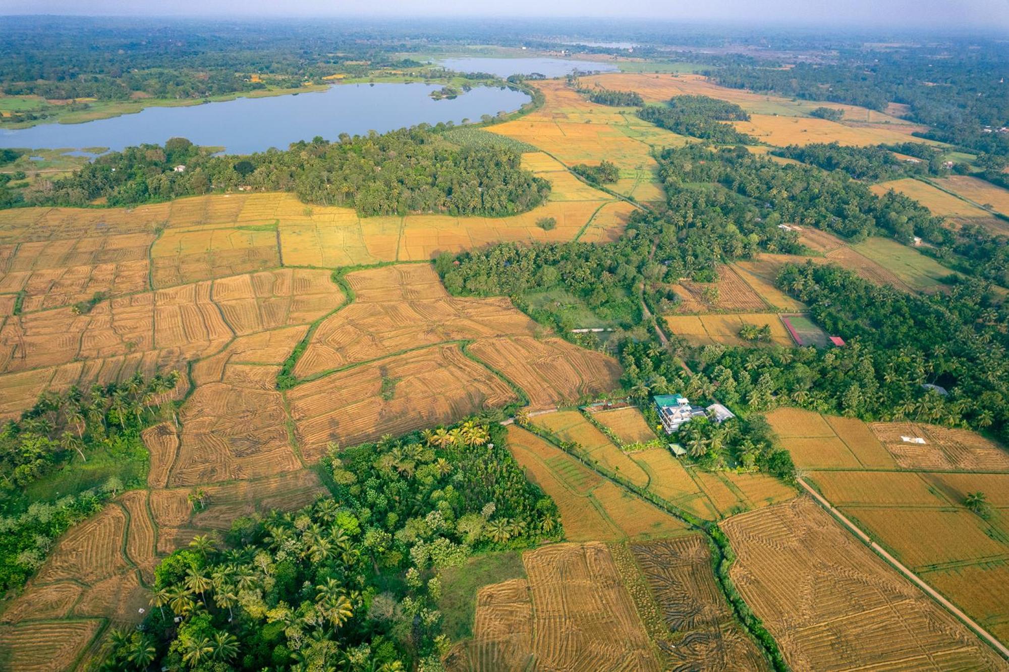 Mailagama Cinnamon Residence Kataragama Zewnętrze zdjęcie