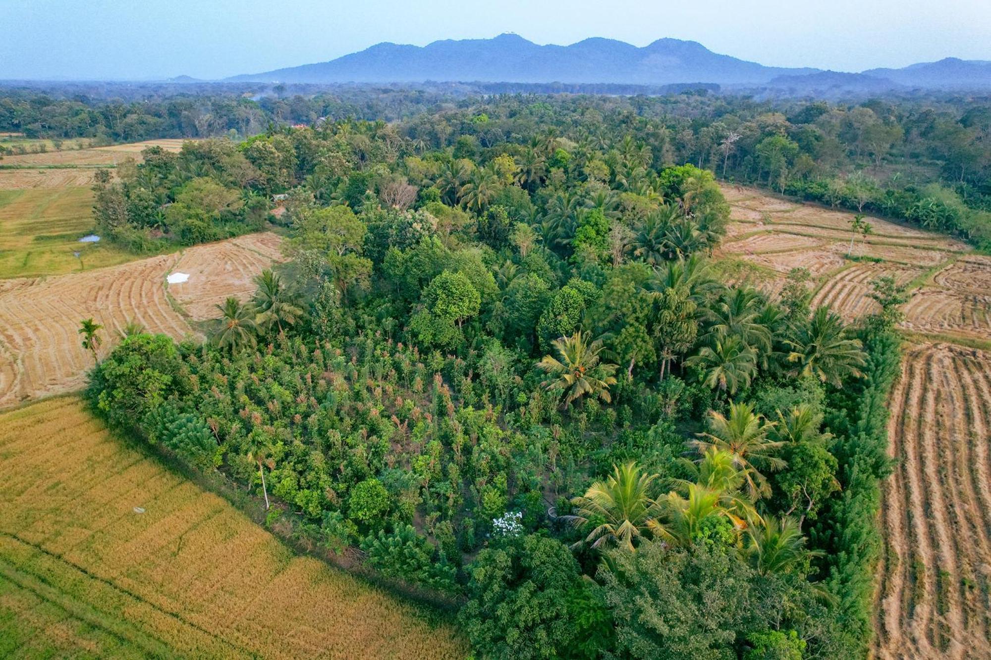 Mailagama Cinnamon Residence Kataragama Zewnętrze zdjęcie