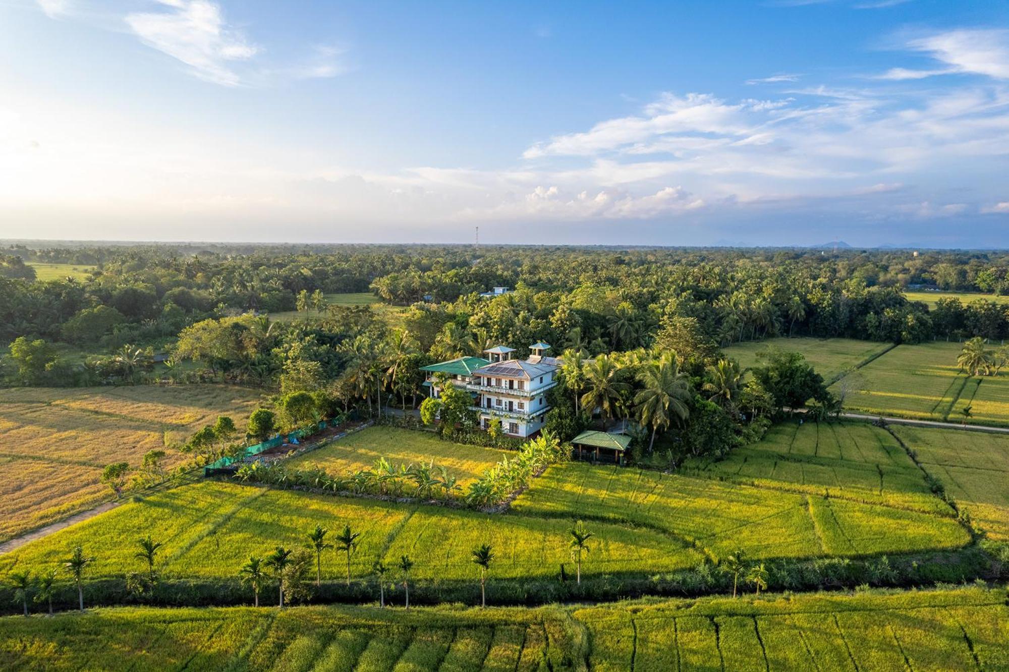 Mailagama Cinnamon Residence Kataragama Zewnętrze zdjęcie